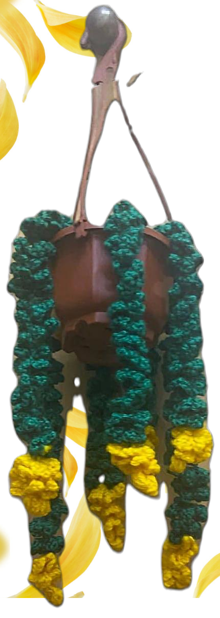 Crochet Hanging Vines