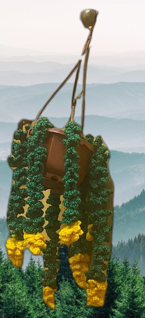 Crochet Hanging Vines
